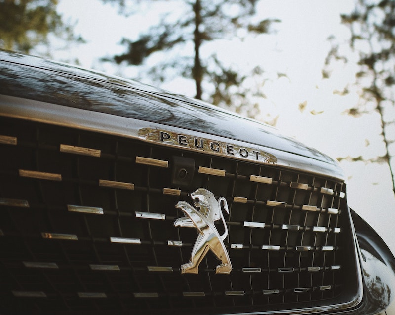peugot number plate img